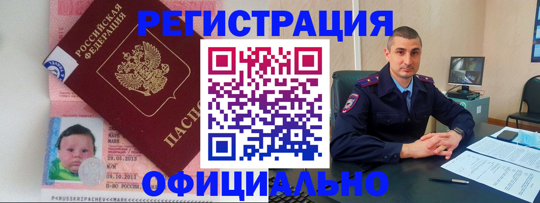 прописка поиск в Александрове
